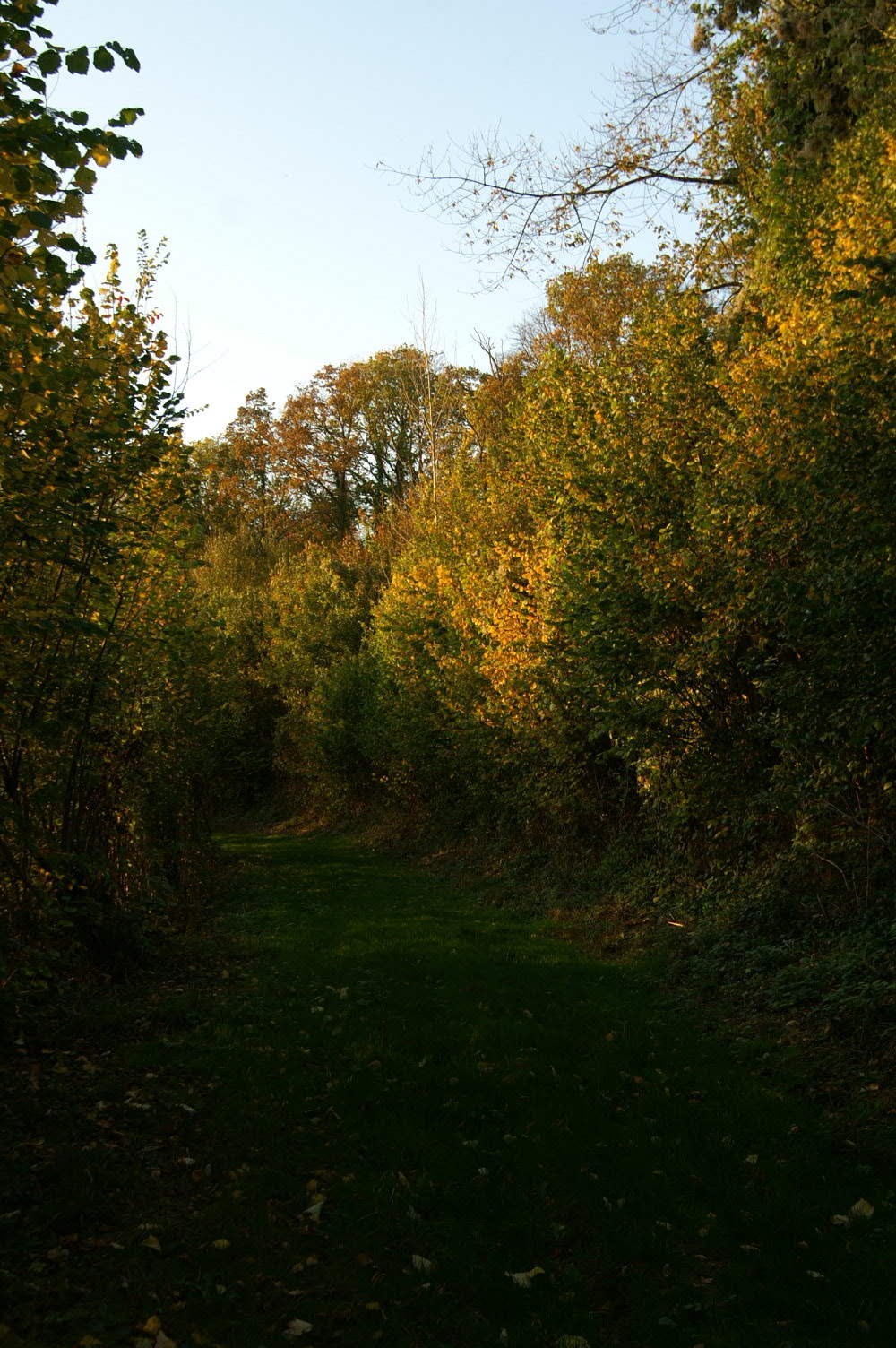 IMAGE0002.JPG