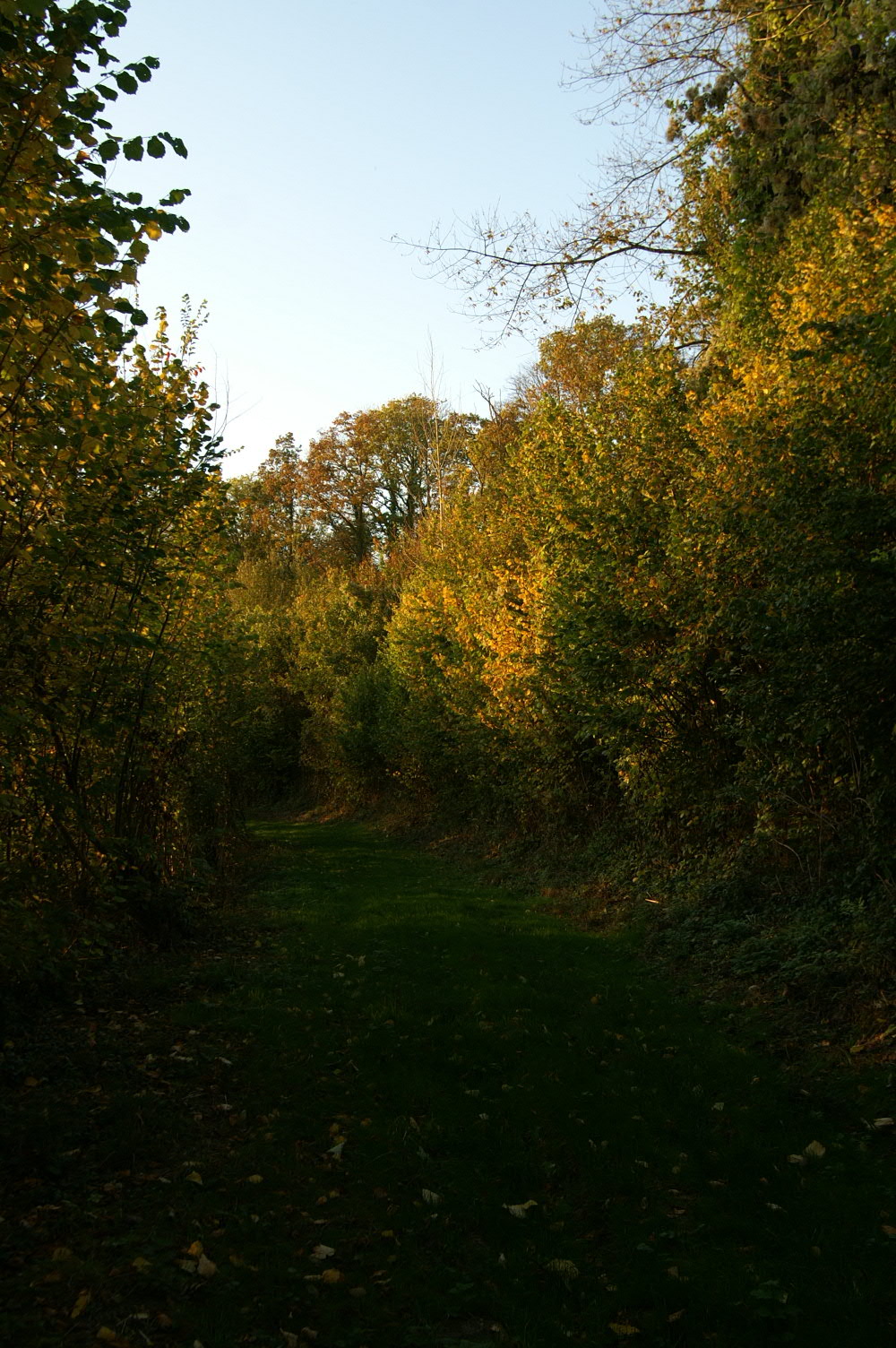 IMAGE0003.JPG