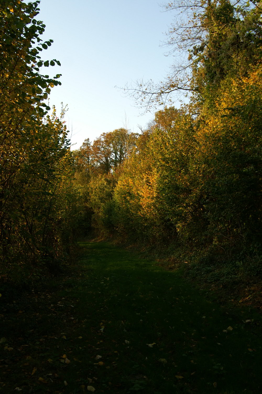 IMAGE0004.JPG