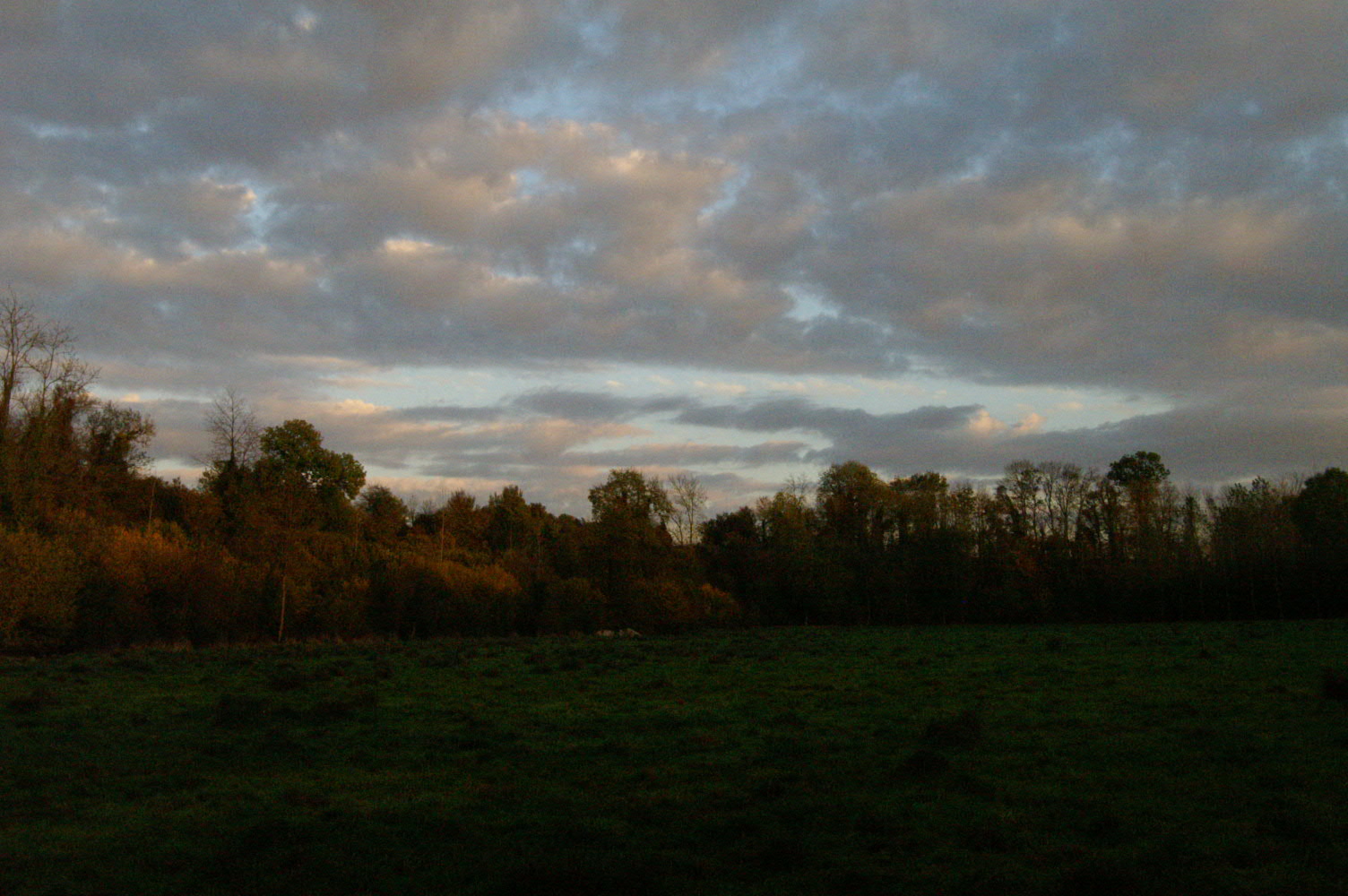 IMAGE0022.JPG