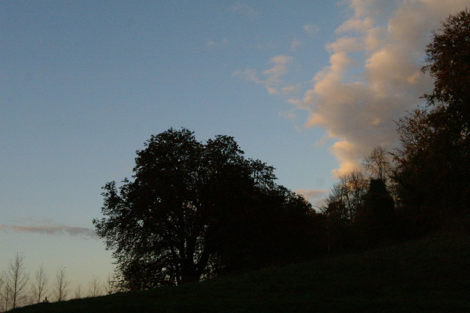 IMAGE0028.JPG