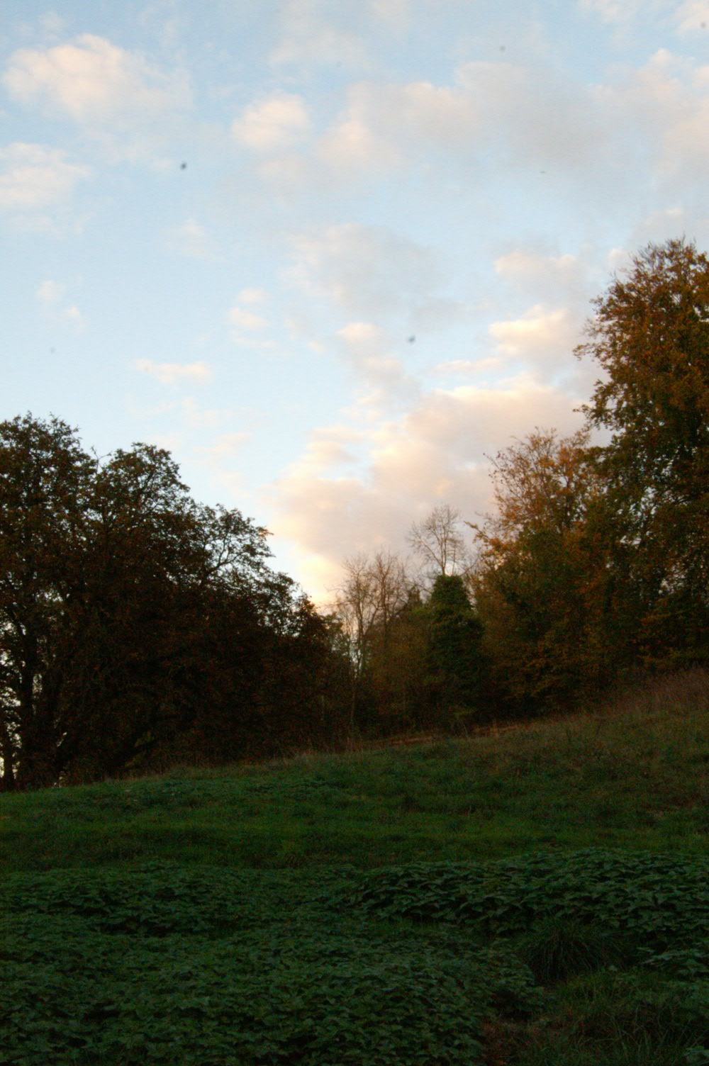 IMAGE0030.JPG