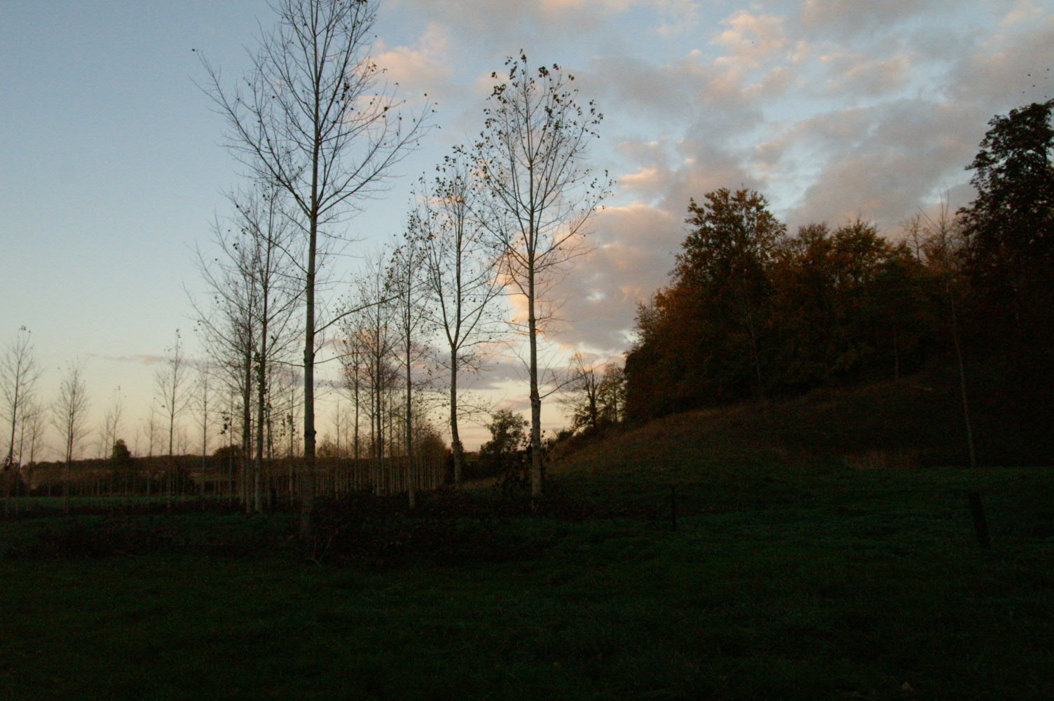 IMAGE0031.JPG