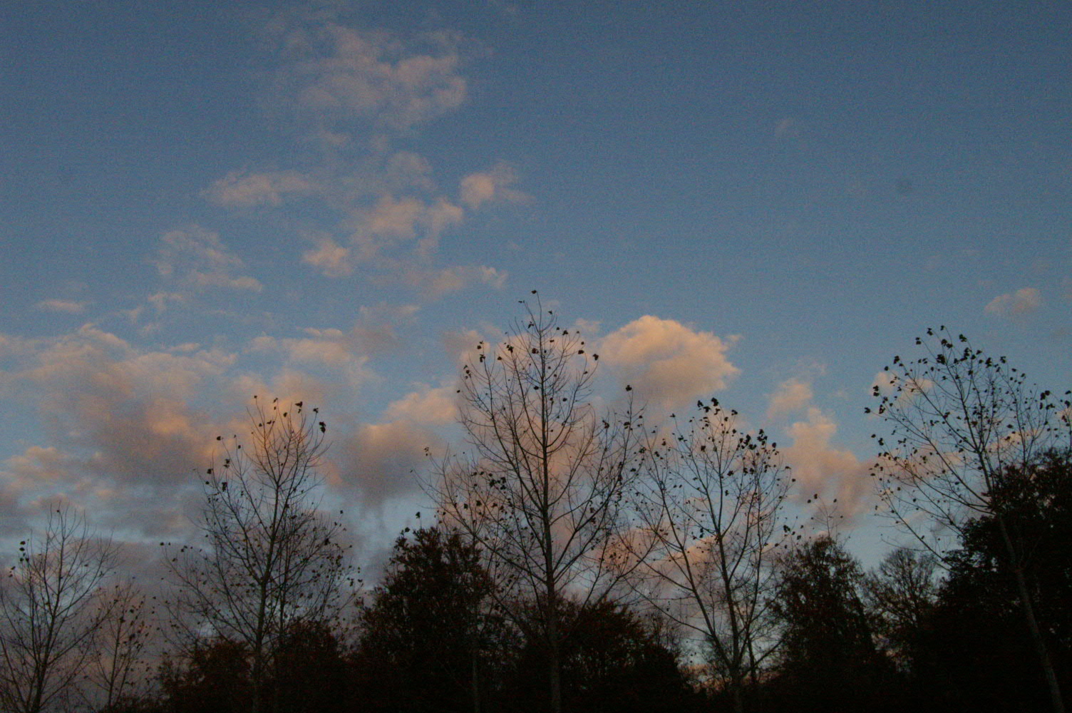 IMAGE0032.JPG