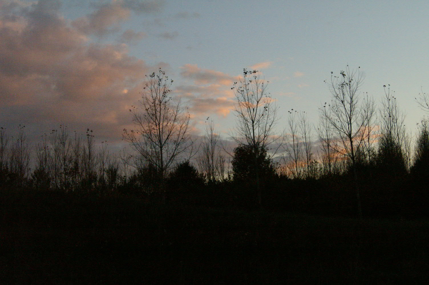 IMAGE0037.JPG
