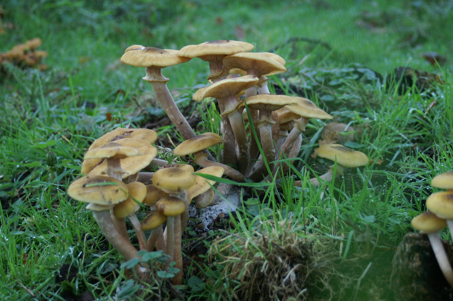 IMAGE0120.JPG