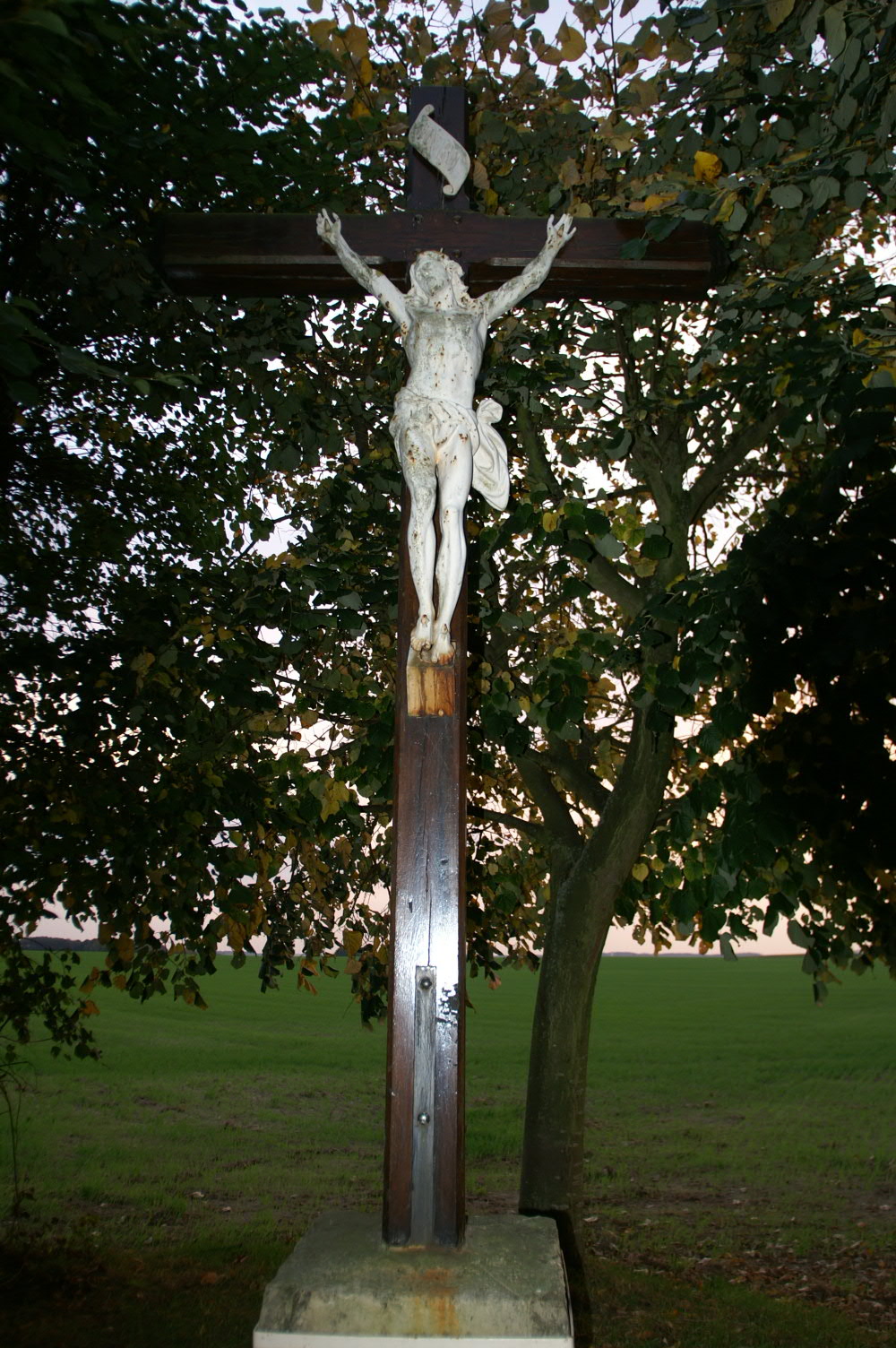 IMAGE0133.JPG