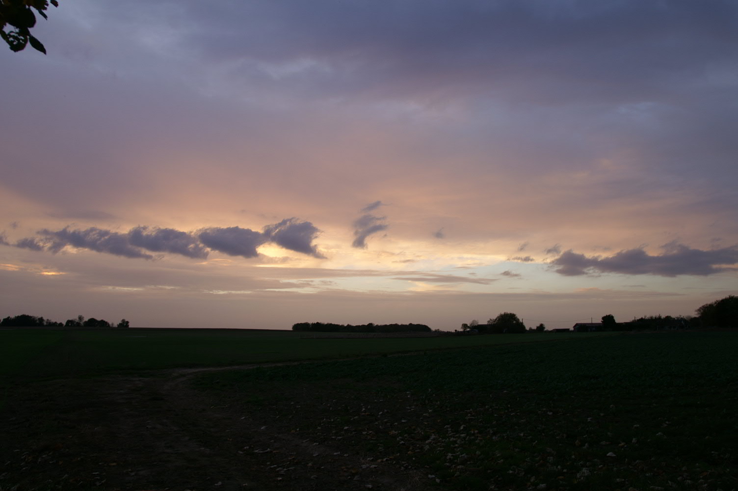 IMAGE0134.JPG