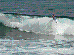 P1000215.JPG