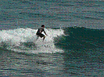 P1000216.JPG