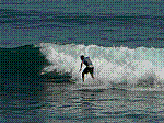 P1000217.JPG
