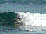 P1000218.JPG