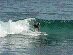 P1000219.JPG