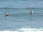 P1000220.JPG