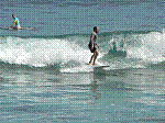 P1000221.JPG