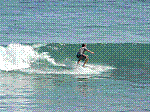 P1000222.JPG