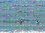 P1000223.JPG