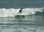 P1000224.JPG