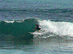 P1000225.JPG