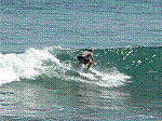 P1000226.JPG