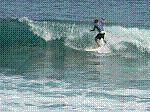 P1000228.JPG