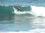 P1000230.JPG