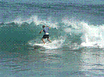 P1000231.JPG