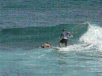 P1000232.JPG