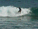 P1000233.JPG