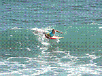 P1000234.JPG