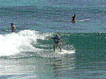 P1000236.JPG