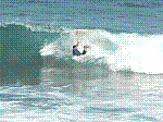 P1000237.JPG