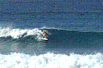 PICT2098.JPG