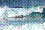 PICT2106.JPG