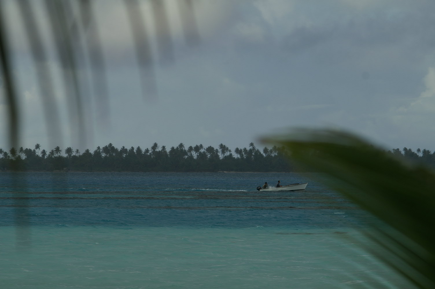 PICT0819.JPG