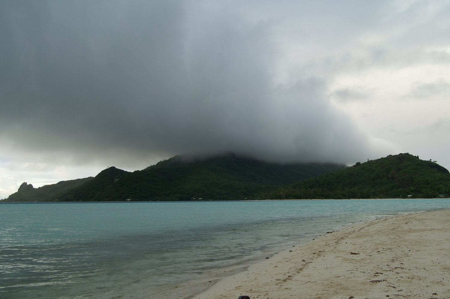 PICT0821.JPG