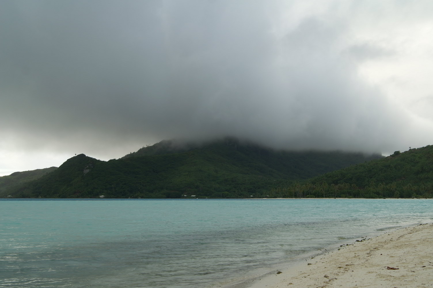 PICT0822.JPG
