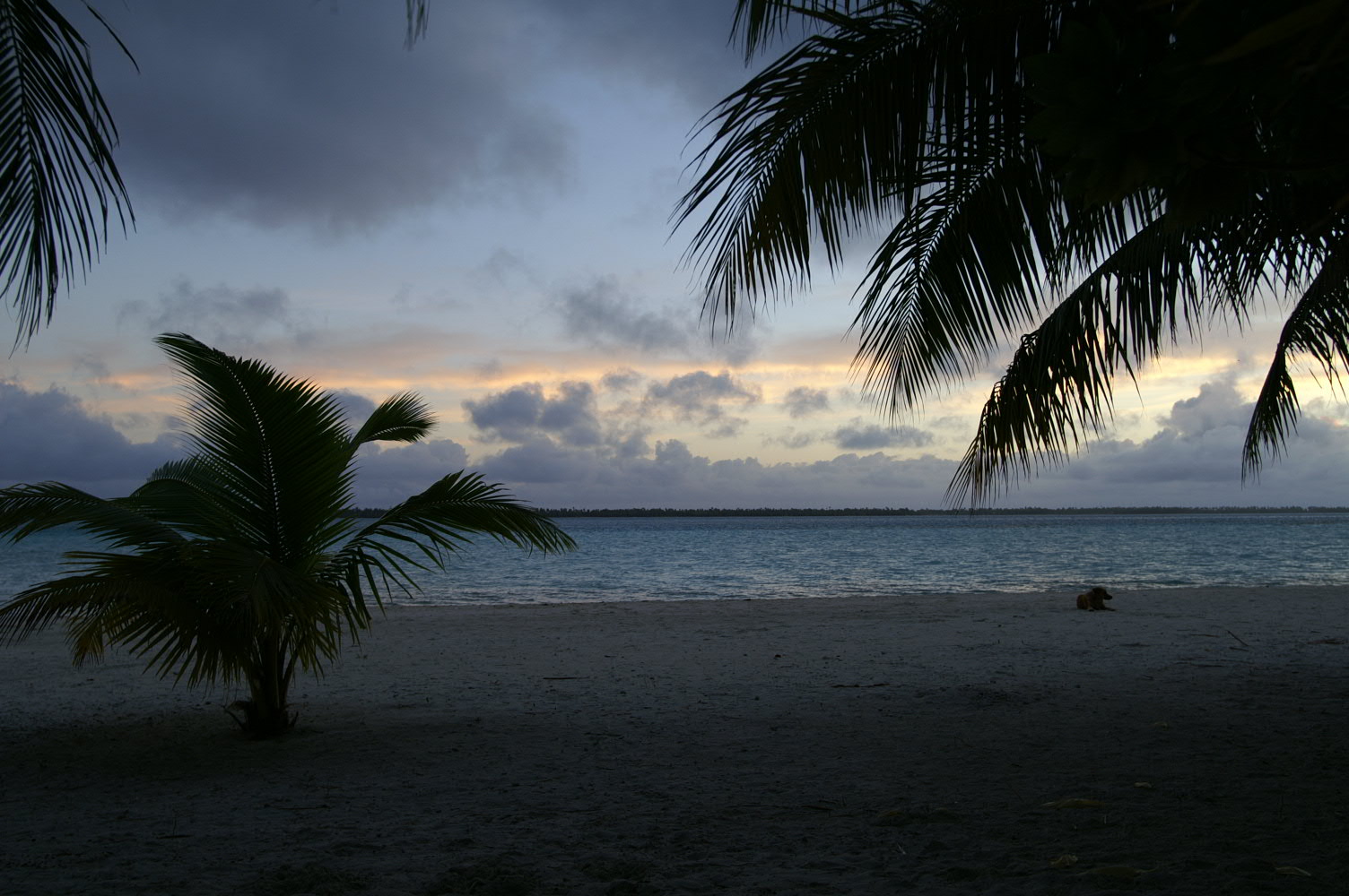PICT0824.JPG