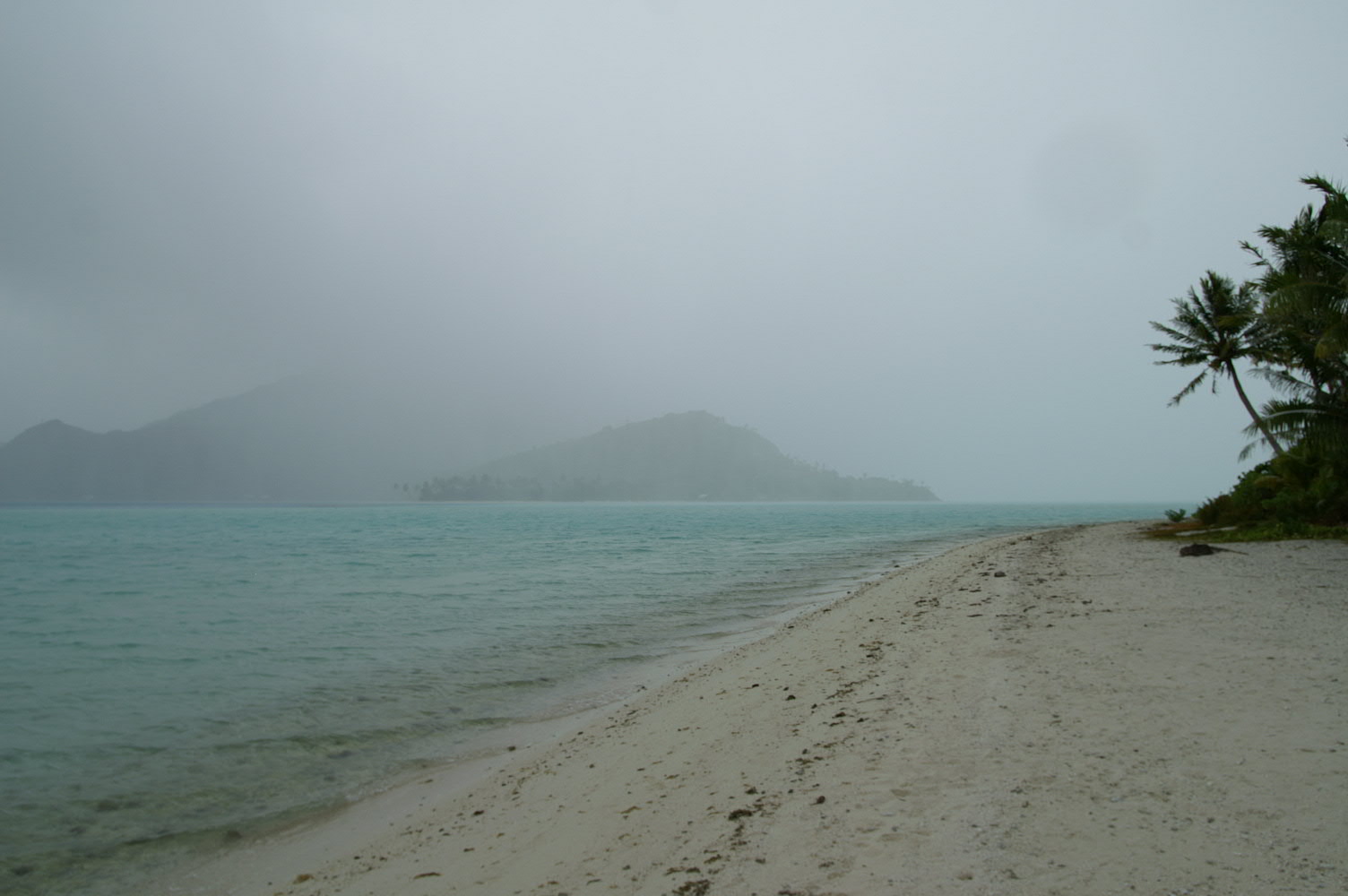 PICT0826.JPG