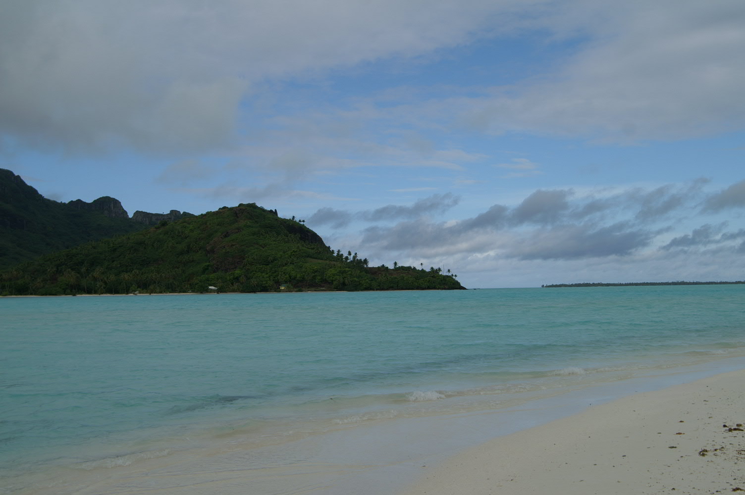 PICT0827.JPG