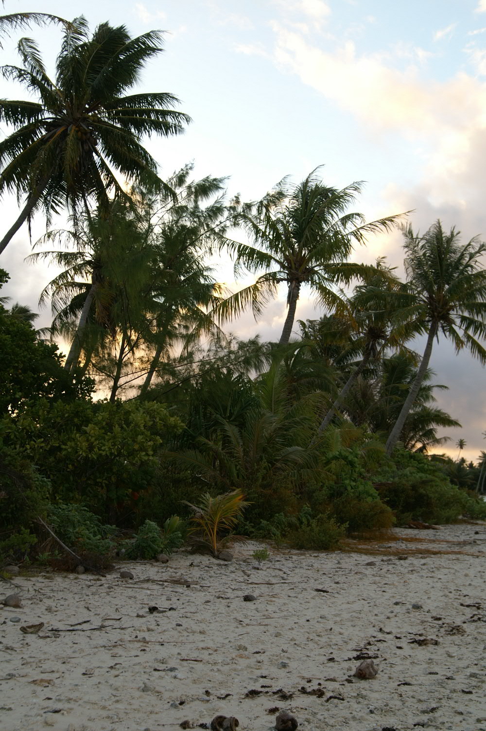 PICT0848.JPG