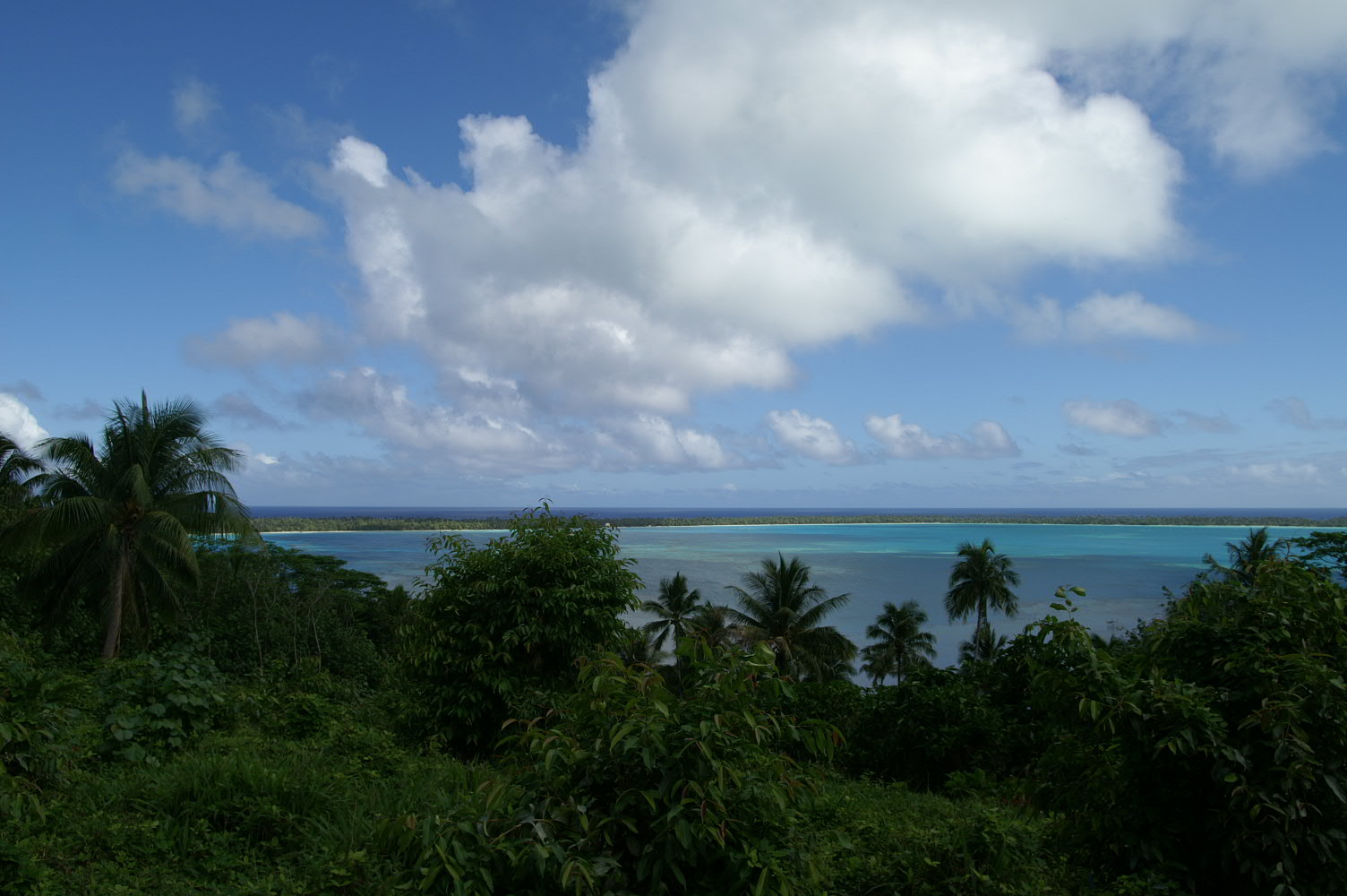 PICT0860.JPG
