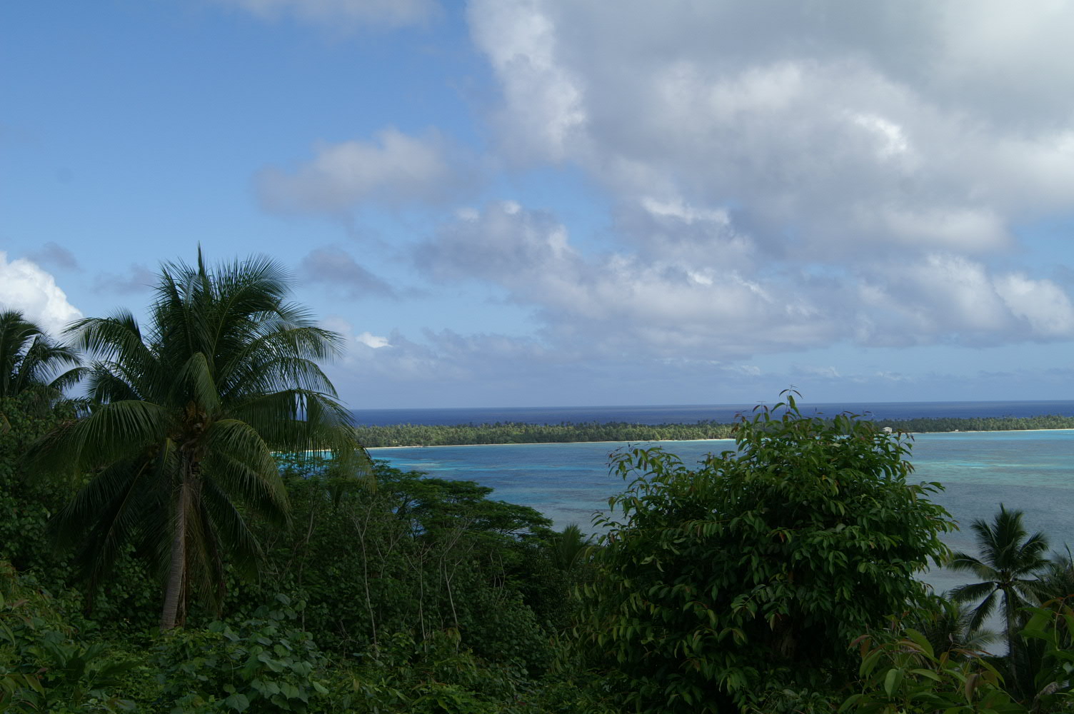 PICT0861.JPG