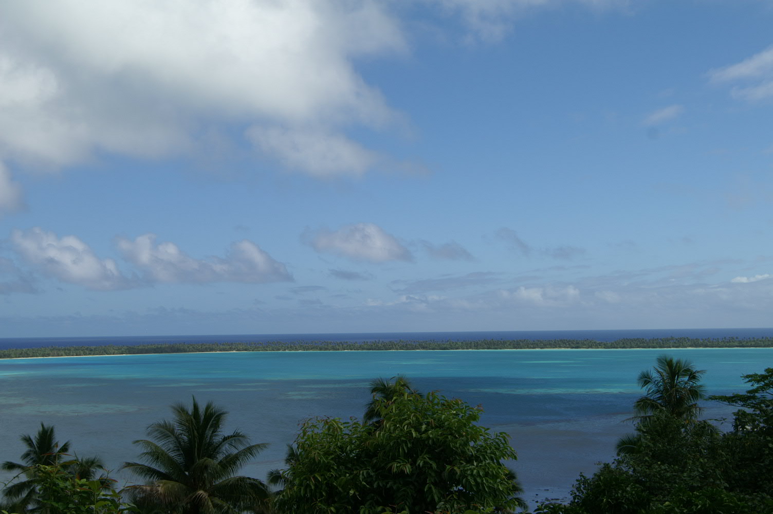 PICT0863.JPG