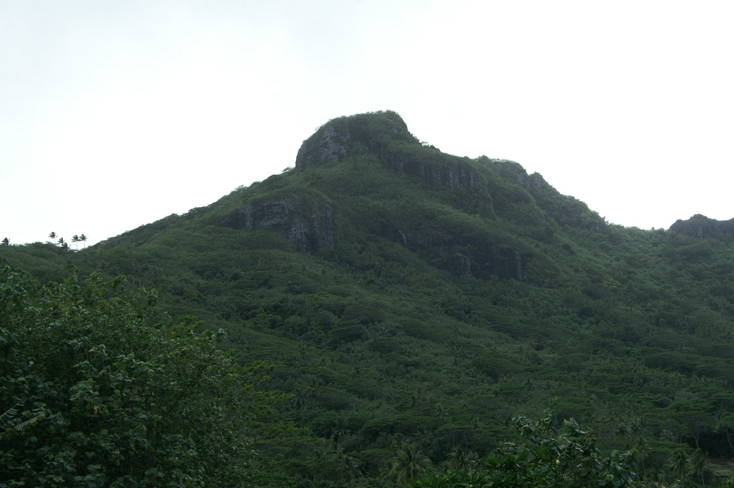 PICT0870.JPG