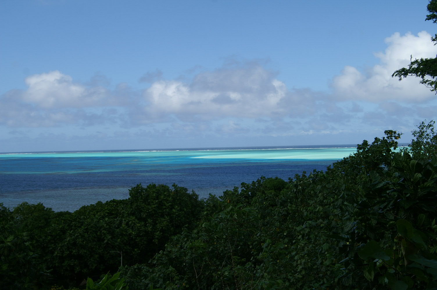 PICT0871.JPG