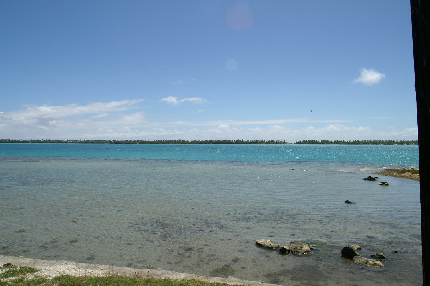 PICT0882.JPG
