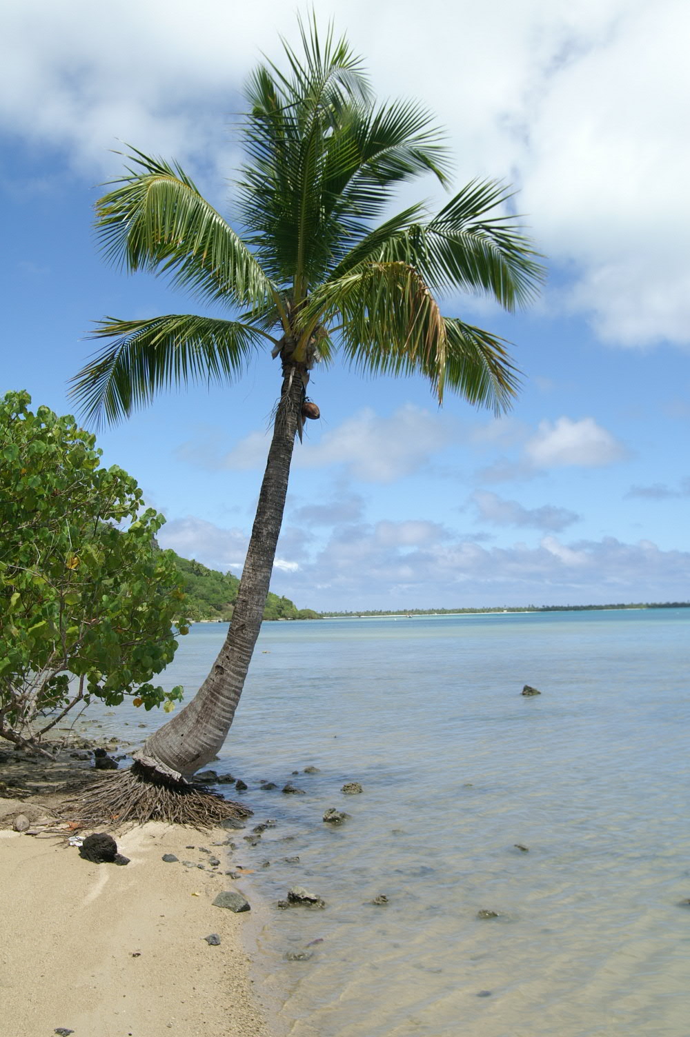 PICT0888.JPG