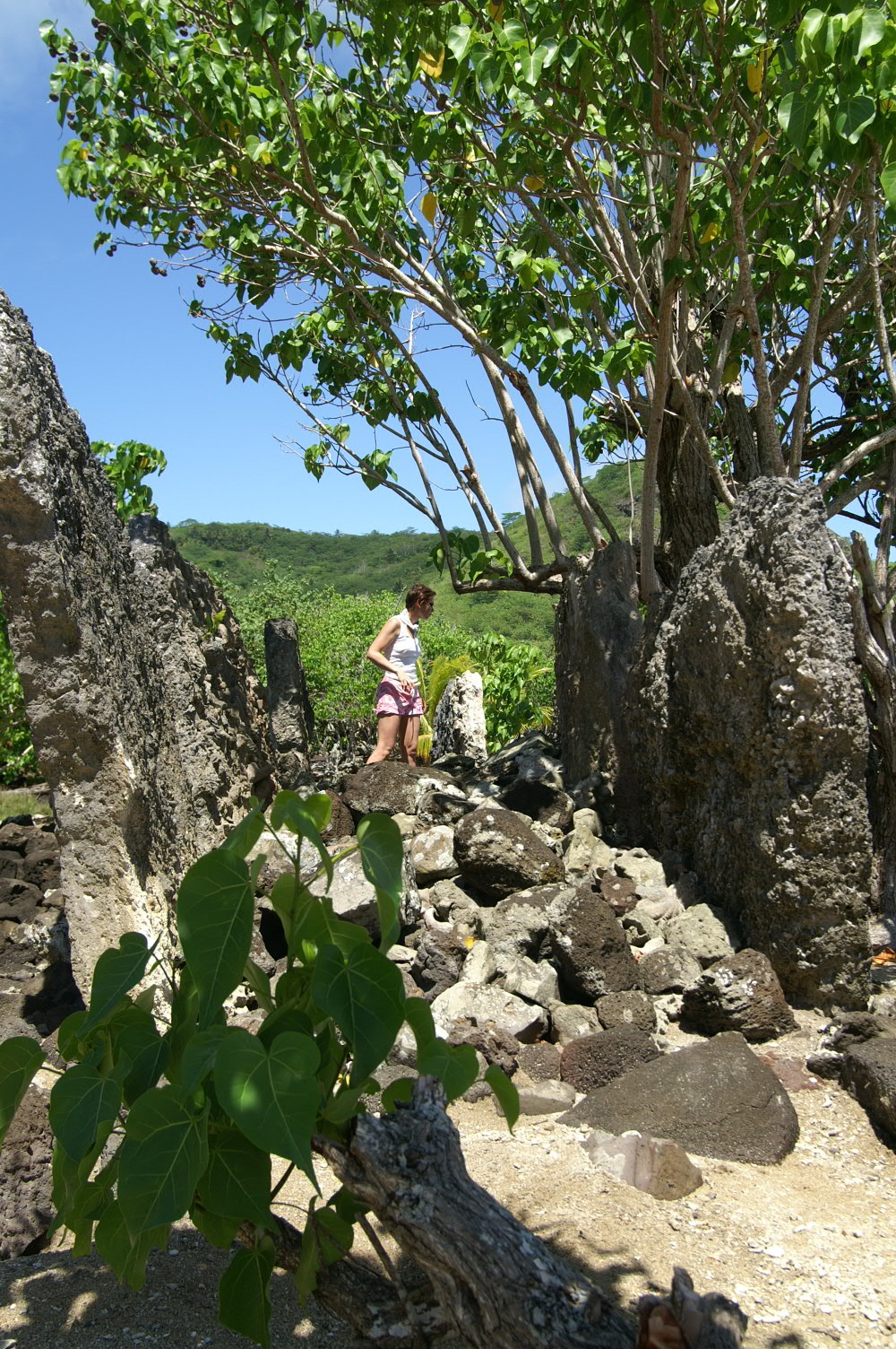 PICT0890.JPG