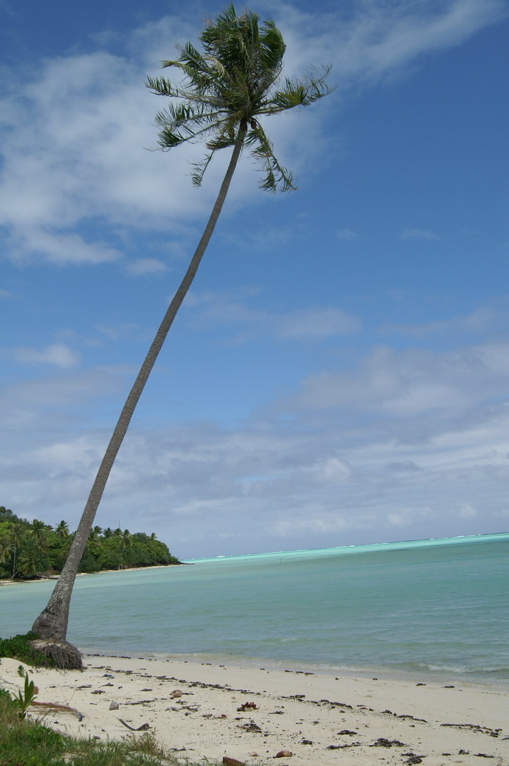 PICT0891.JPG